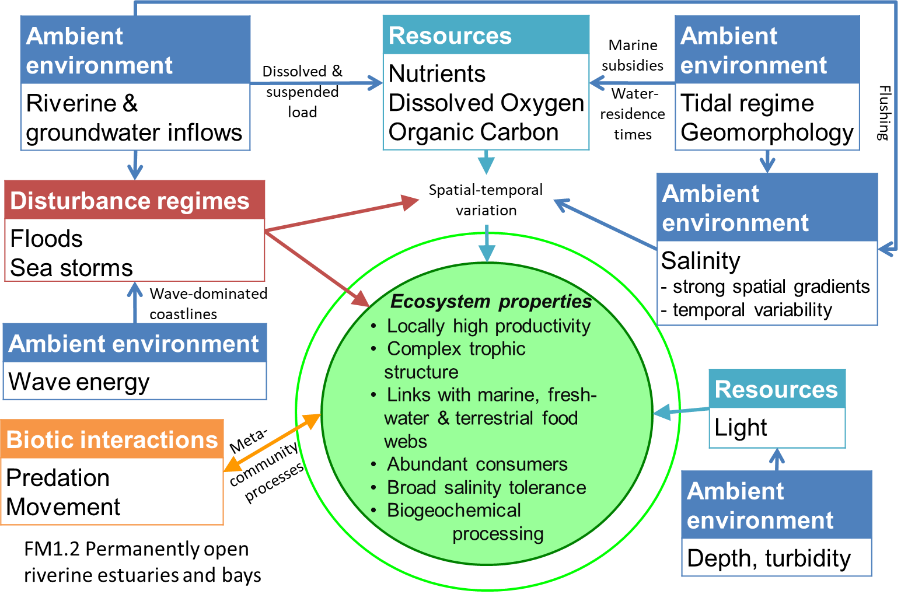 Fm1.2 | Global ecosystem typology